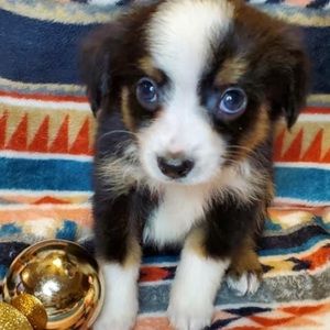 Meet your Posher, Rita